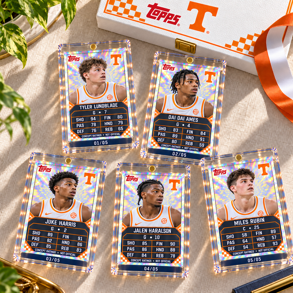 TVF Premium Card Collector’s Box Set NHVH