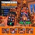TVF Smart Christmas Tree Lights TMH